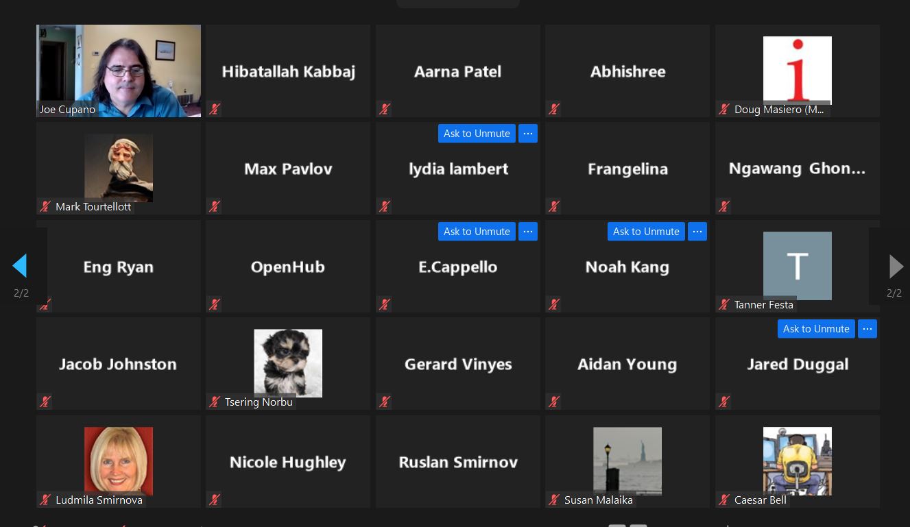 Pitching ideas on Zoom