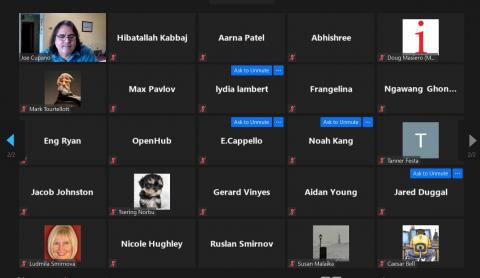 Pitching ideas on Zoom